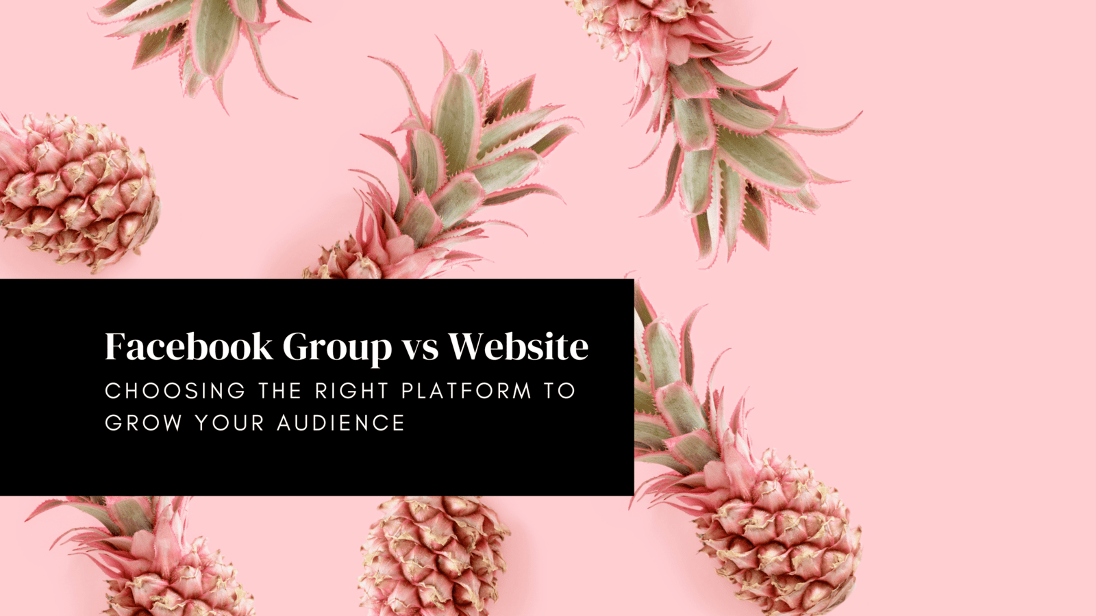 Facebook Group vs Website